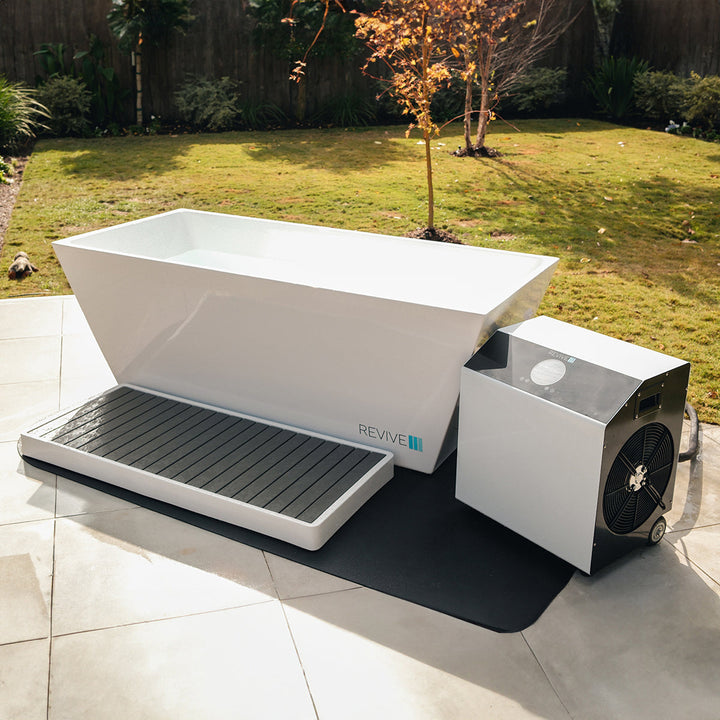 Revive Plunge 6 Person Traditional Sauna & Acrylic Plunge