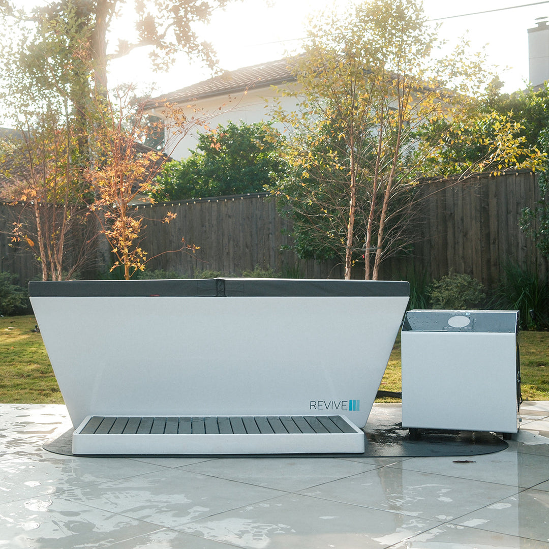 Revive Plunge 6 Person Traditional Sauna & Acrylic Plunge