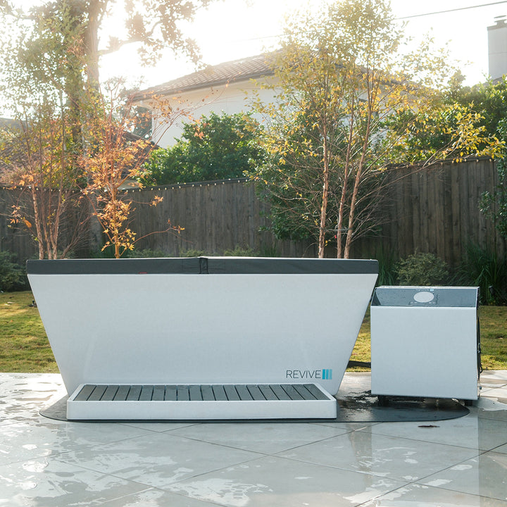Revive Plunge 6 Person Traditional Sauna & Acrylic Plunge