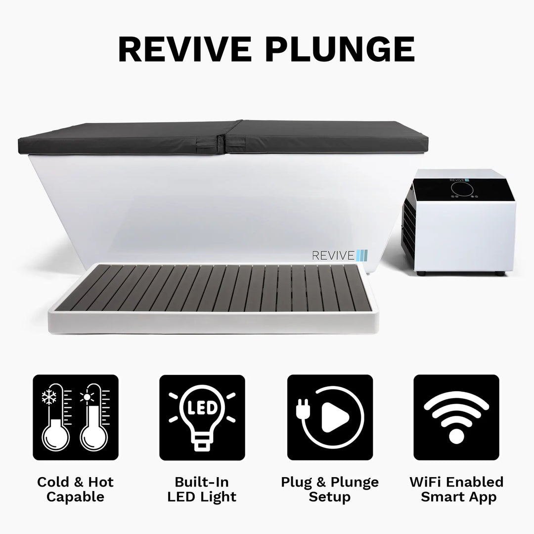 Revive Plunge 2 Person Traditional Sauna & Acrylic Plunge