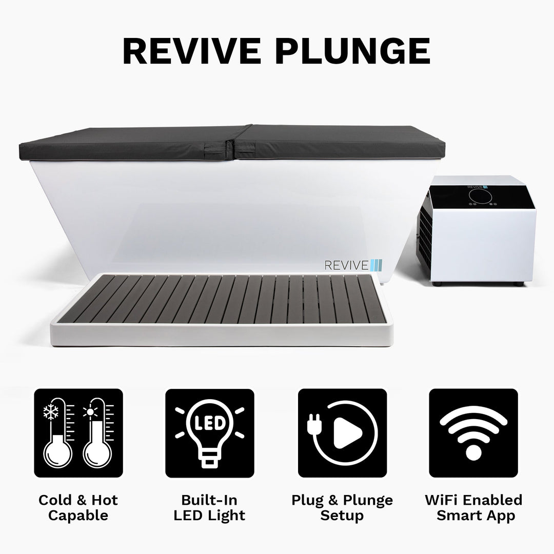 Revive Plunge 6 Person Traditional Sauna & Acrylic Plunge