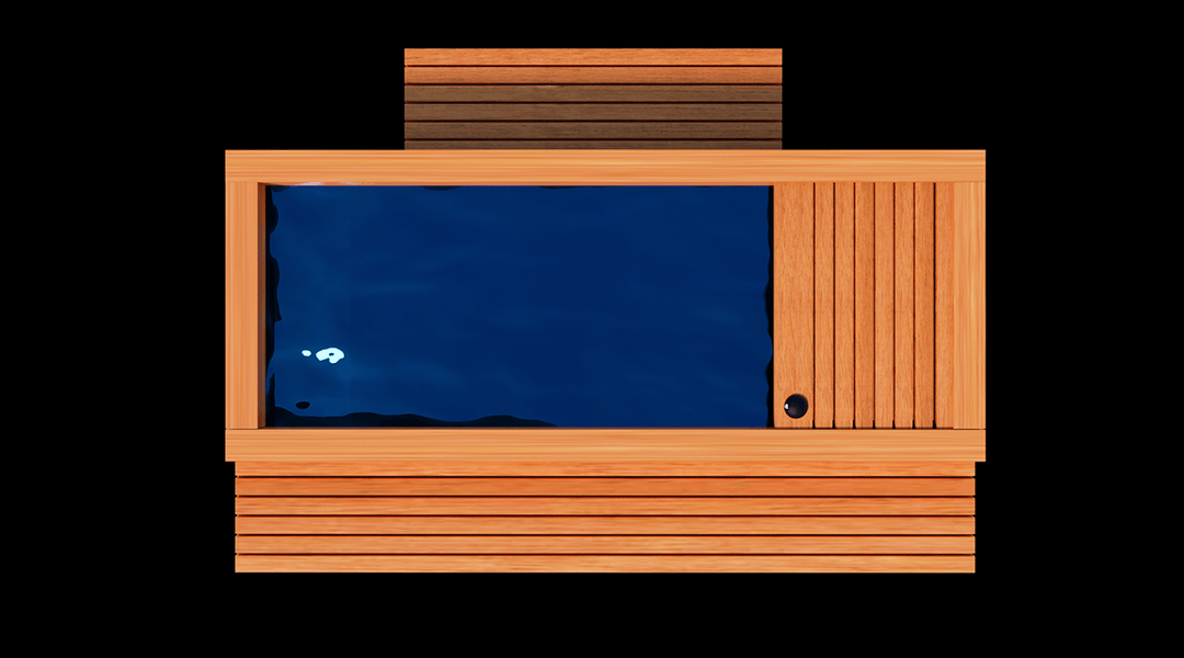 Medical Saunas Frozen 2