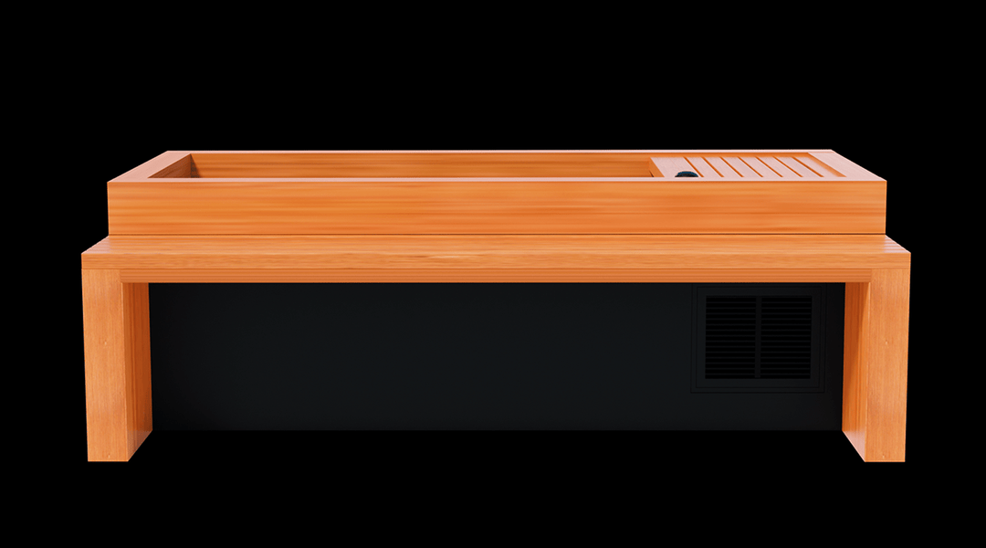 Medical Saunas Frozen 2