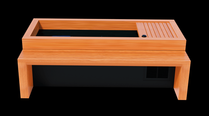 Medical Saunas Frozen 2