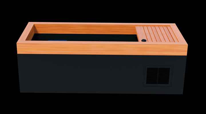 Medical Saunas Frozen 1